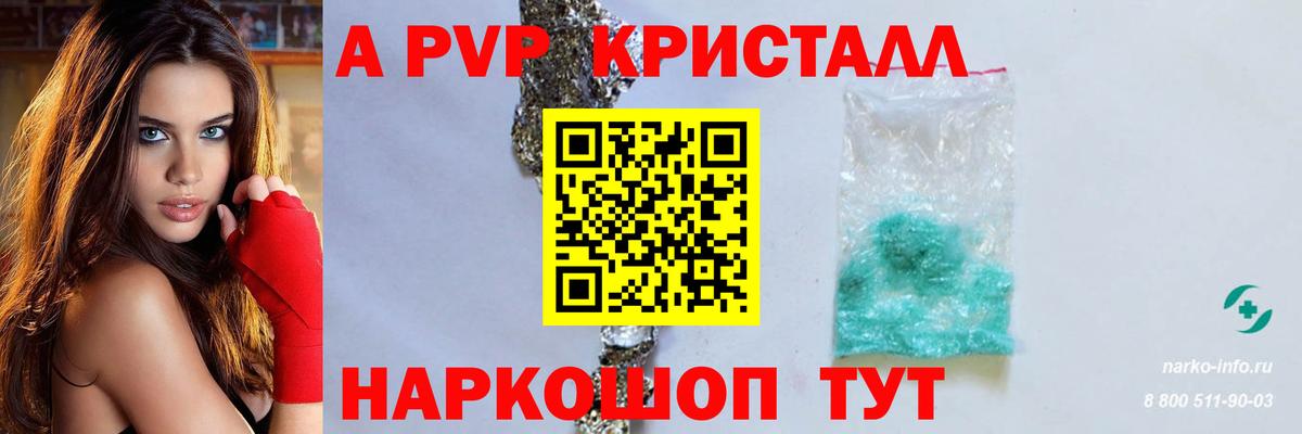 Alfa_PVP СК Михайловск