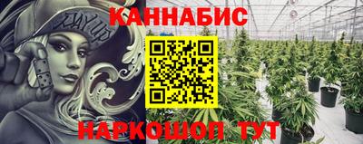 гашик Гусев