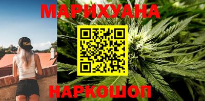 гашик Гусев
