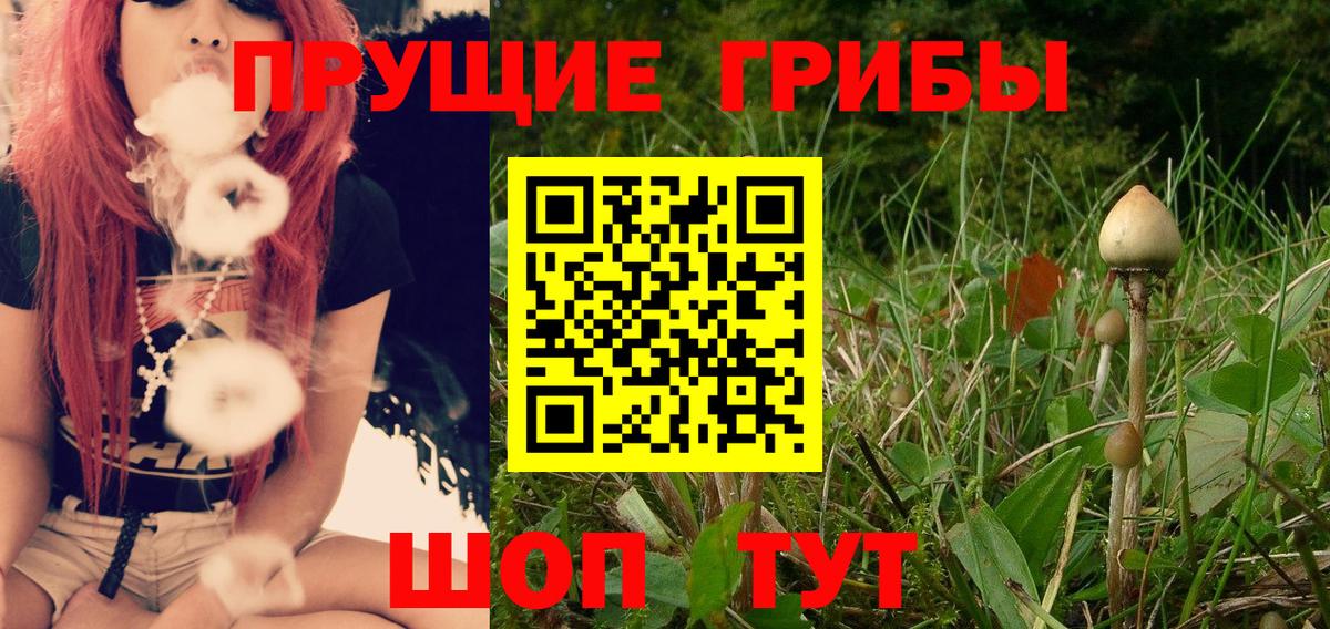 Псилоцибиновые грибы Psilocybe  Псилоцибиновые грибы Magic Shrooms  Михайловск  где купить наркоту  Вход с VPN 